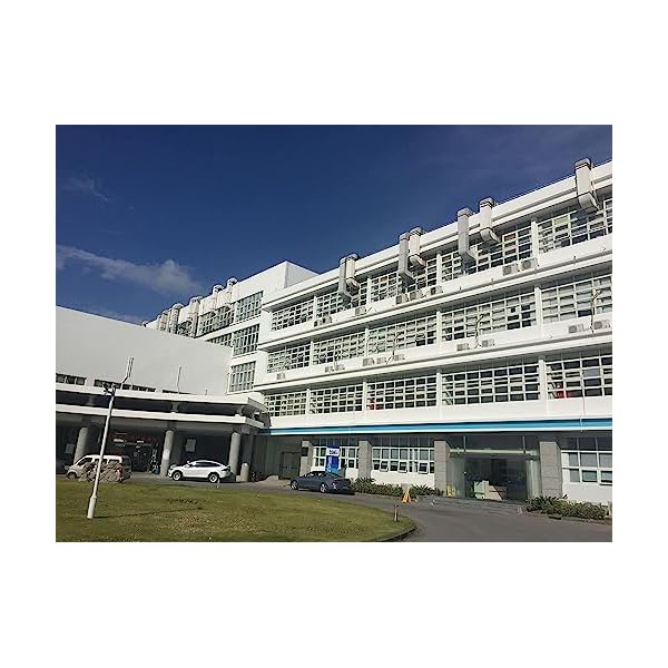 Fasoracetam-Powder-Purity-99-25-Grams-100mg-Scoop-Inside Fasoracetam-Powder-Purity-99-25-Grams-100mg-Scoop-Inside