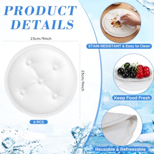 Image of LemonRoad 6 Pcs Cooling Mat for Food Buffet Table, 9x9inch Reusable Ice Mat
