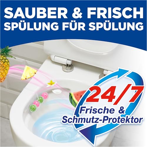 WC FRISCH Kraft Aktiv Duftspüler Hawaii (150 g), WC Reiniger für Reinigung bei jeder Spülung, Duftsteine für langanhaltend frischen Duft, + 50 Prozent Anti-Kalk Effekt* 3