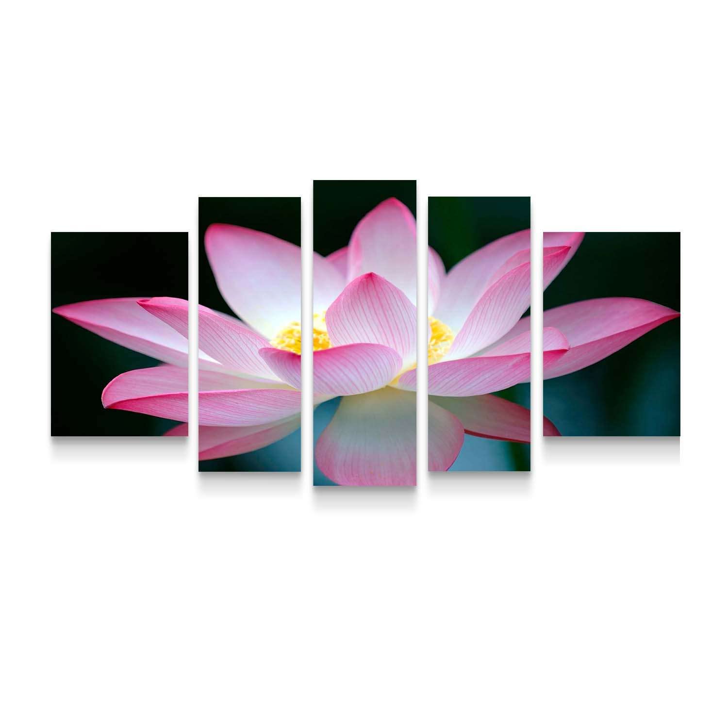 Startonight Canvas Wall Art Pink Flower - Pink Framed Set of 5 Large 36 x 71 Inches