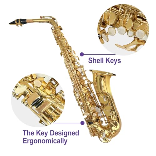 Image of Alto Saxophone E Flat for Adults Student Sax Eb Alto Full Kit With Carrying Sax Case Mouthpiece Straps Reeds Saxophone Beginner Kit