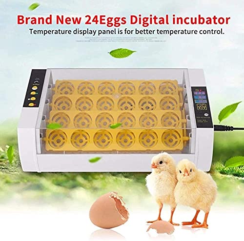 Automatische ei-incubator, 24 eieren geleid hoog-efficiëntie automatische temperatuurregeling, automatische ventilatie… - Afbeelding 6