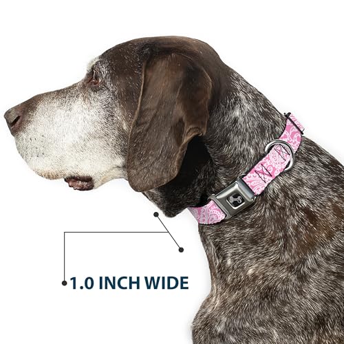 Collier de chien en forme d'os Buckle Down finition soignée pour petit chien