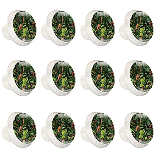 Boutons dinosaure vert pour transformer une commode terne : lot de 12 ronds