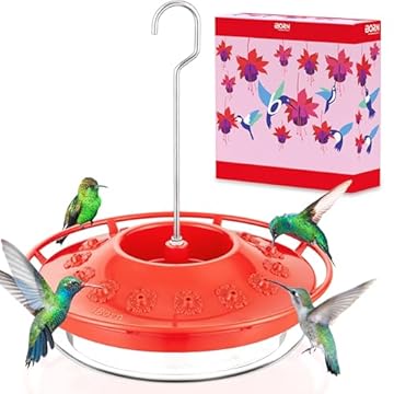 Best Saucer Hummingbird Feeder – Which One Will Attract More Birds? 2 best saucer hummingbird feeder