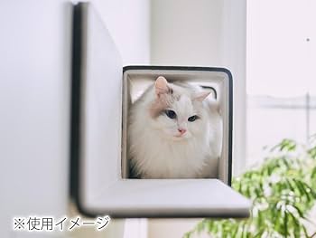 にゃんページ Amazon.co.jp: LIXIL(リクシル) キャットウォーク 猫壁(にゃん