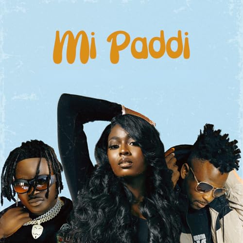 Mi Paddi