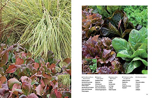 Botanical inspirations: 1000 Ideas for Planting Your Garden / 1000 Ideen fur die Bepflanzung deines