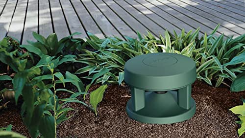 Bose 40151 Professional Freespace 360-P Ii In-Ground Loudspeaker thumb #1