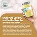 ProSeed Handmade Pure Lanolin Cream – Unrefined Balm for Dry Skin, Lips, Nursing & Baby Care – Gentle Moisturizer for Hands, Face & Pets – Petroleum-Free, 12oz Glass Jar