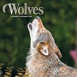 Carousel Calendars, Wolves 2024 Wall Calendar