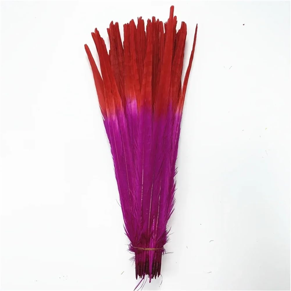 Natural Pheasant Feathers, Ringneck Pheasant Craft Feathers, Pack of 100 Multicolor 40-45 cm