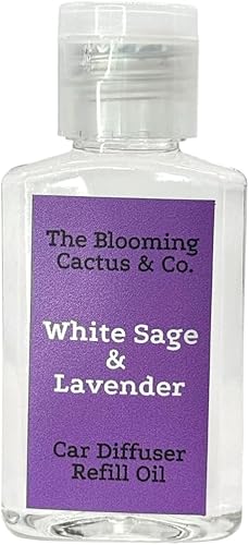 Car Air Freshener Hanging, Essential Oil Diffuser for Cars 1 OZ, Cute Car Access