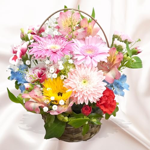 ������ �A�����W�����g ���� �y�I�ׂ�J���[ �G�߂̂��� M�T�C�Y�z �؂�� �A�����W ���� �M�t�g �v���[���g �a���� ��̓� �L�O�� ���j�� �t�����[�A�����W�����g ���C��