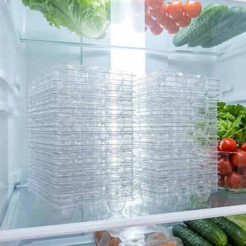 Boîtes à œufs de caille 6 compartiments rigides et mini boîtes de rangement en plastique - 6