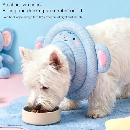 Cono protector para mascotas ajustable de 28-31 cm ideal para el hogar 7