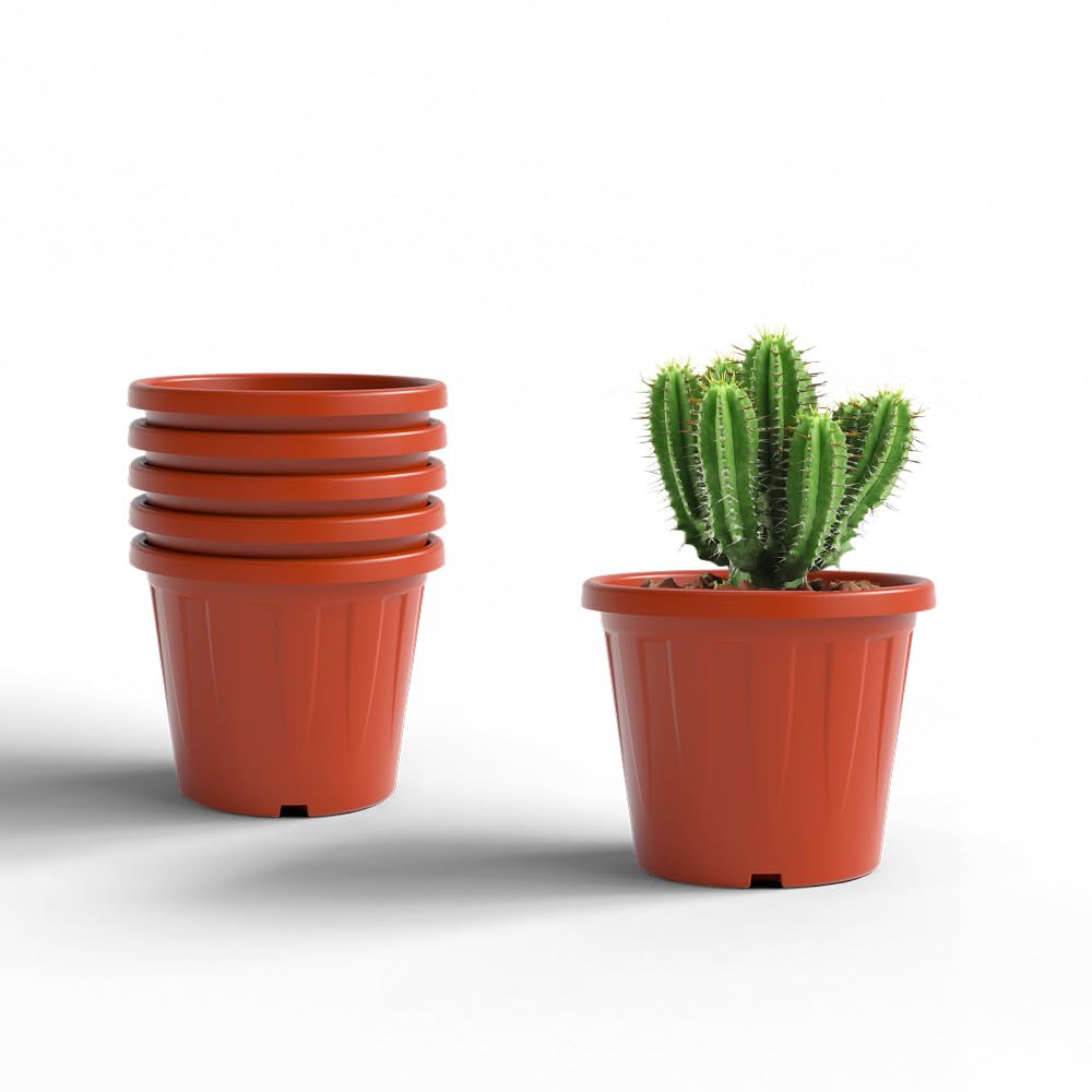 YUCCABE ITALIA 6 Pack White Nursery Planters -28
