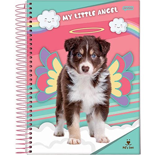 Kit de Cadernos, Jandaia, Universitário, 1 Matéria, Capa Dura, Pet, 80 Folhas, Pacote com 4