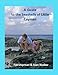 A Guide to the Seashells of Little Cayman