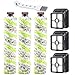 2306A,1785A Replacements 3 Pack Multi Surface Pet Brush Roll 2306A and 3 Pack 1866 Vacuum Filter Compatible with Bissell CrossWave 1785 2306 2551 Wet Dry Vacuum Cleaner