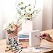 Honeydak 3 Set 5.9 Inch Book Shaped Vase Ready to Paint Your Own Ceramic Book Flowers Vase Ceramics to Paint DIY Unpainted Paintable Kit Crafts with Acrylic Brush Palette for Adults