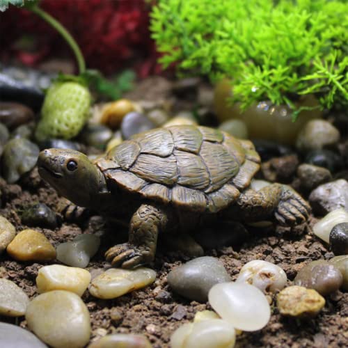 hipyzzz 3 Stück Deko Schildkröte für den Garten, Harz Tier Statue(Geschenk für Haus, Hof, Rasen, Balkon Dekoration ) – Bild 4