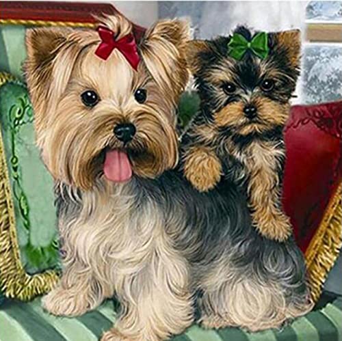 Peinture au diamant 5D kit complet | Broderie point de croix artisanal 30x40 cm