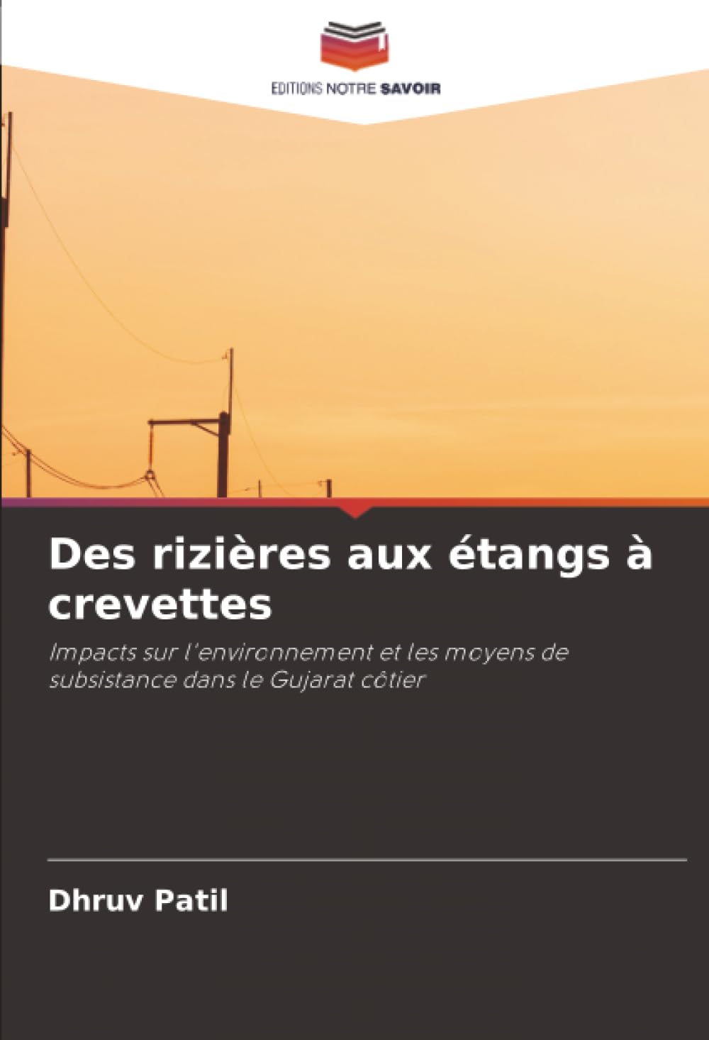 Des rizières aux étangs à crevettes: Impacts sur l'environnement et les moyens de subsistance dans le Gujarat côtier