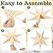 Cinnvoice 12 Pcs Christmas Paper Star Lantern 7/8/9 Points Sage Green Hanging Ornament 3D Neutral Star Lantern with String Light 12 and 17.72 Inch Hollow Lampshade for Xmas Party Decor(7 Pointed)