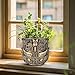 Midogaigai Tribal Vintage Face Planter,Lightweight Unique Plant Pots with Drainage,Eclectic Small Succulent Flower Planters Pots for Outdoor&Indoor Plants,Funny Garden Pot for Room Decor(5.5in)