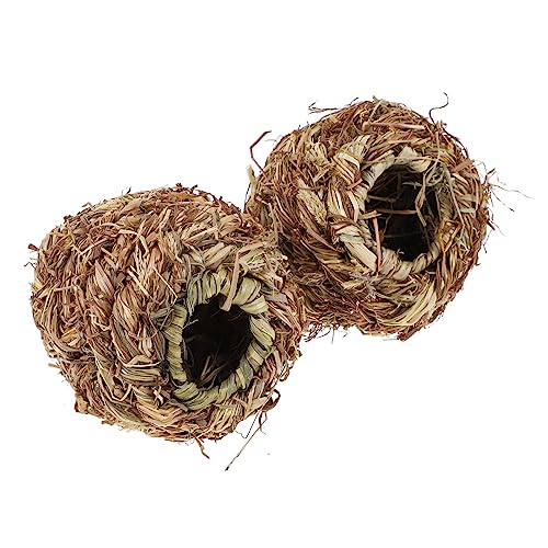 HANABASS 2 OX{[ IÊ ̂ } ŕ҂񂾂 ݃gC  IE킨 ybg̑P̂ ETM Brown