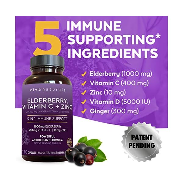 Viva-Naturals-Elderberry-Vitamin-C-Zinc-Vitamin-D-5000-IU-Ginger-Antioxidant-Immune-Support-Supplement-2-Month-Supply-120-Capsules-5-in-1-Daily-Immune-Support-for-Adults Viva Naturals Elderberry with Vitamin C and Zinc for Adults - 5 in 1 Sambucus Black Elderberry Capsules with Vitamin D3 5000 IU, Elderberries Immune Support Supplement 2 Months Supply Pills