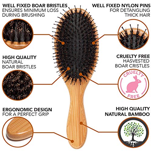 Belula Organic Hair Care Set.100% Boar Bristle Hair Brush Set And Detangling Boar Bristle Hair Brush. Restore Shine And Texture To Your Hair #TOP6