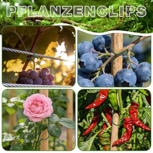 KEYIDO 150 Stück Pflanzenclips Grün Pflanzenclips Tomaten Pflanzen Clips Klammern für Pflanzenklammer Tomatenclips Gartenklammern für Unterstützen Pflanzen Gemüse Obst 2 Größen