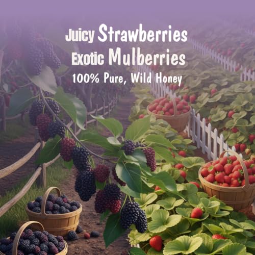 Image of Eatopia Sugar Free Mixed Berry & Mulberry Honey Jam | 100% Pure & Natural | Healthy Jam for Kids & Adults | No Added Flavours & Preservatives | 70% Real Fruits | Sweetness from Real Fruits & Honey | 240g Each | Pack of 2 | 480g