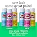 Apple Barrel PROMOABP22, 14 Piece Acrylic Set Featuring 13 Paints and 1 Pouring Medium, Multi, 16 Ounces