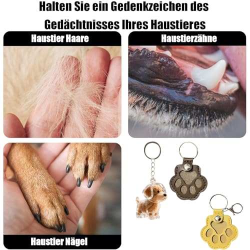 fufupaw 3 PCS Schlüsselanhänger Hund, Schlüsselanhänger Hundehaare, Tierhaar Anhänger Mit Pfotenabdruck, Katzen- und Hunde Set, Inklusive Goldener Retriever Design