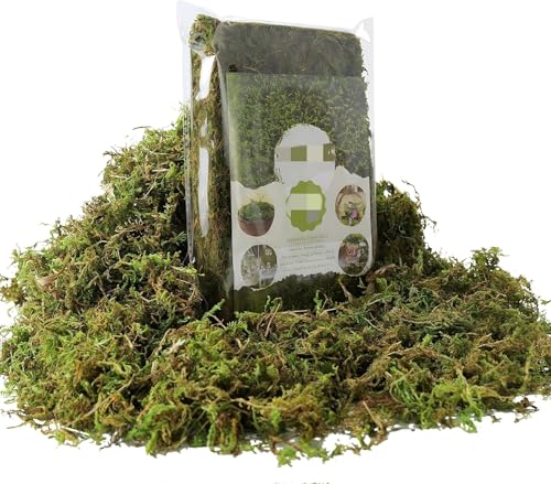 Fake Green Moss for Potted Plants, 3.5OZ Artificial Moss for DIY Crafts, Faux Moss for Table Centerpieces Fairy Garden Decor (Fresh Green 100g)