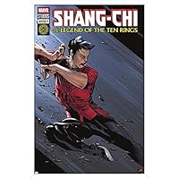 Amazon.co.jp: Trends International マーベル シャンチーとテン