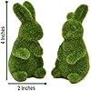 Gift Boutique 4 Green Fuzzy Flocked Bunny Easter Holiday Spring Decor Rabbit Figurines Garden Artificial Animal Moss for Indoor Table Home, Kitchen, Shelf Decorations Furry Covered Rabbits