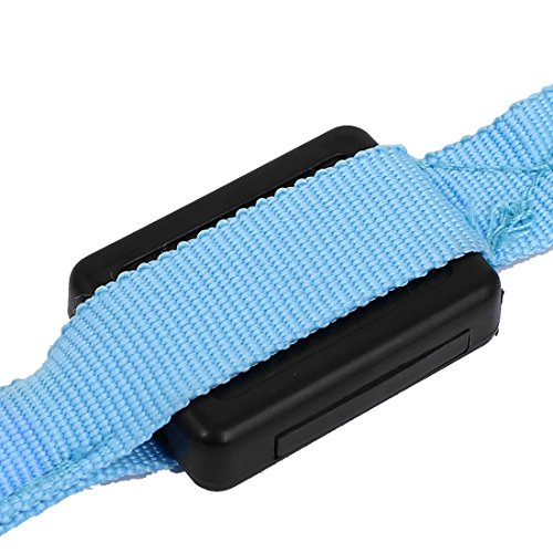 Ruilogod Haustier Katze Hund Blaue Beleuchtung Nylonleine Harmess-Bleigurt 120 cm