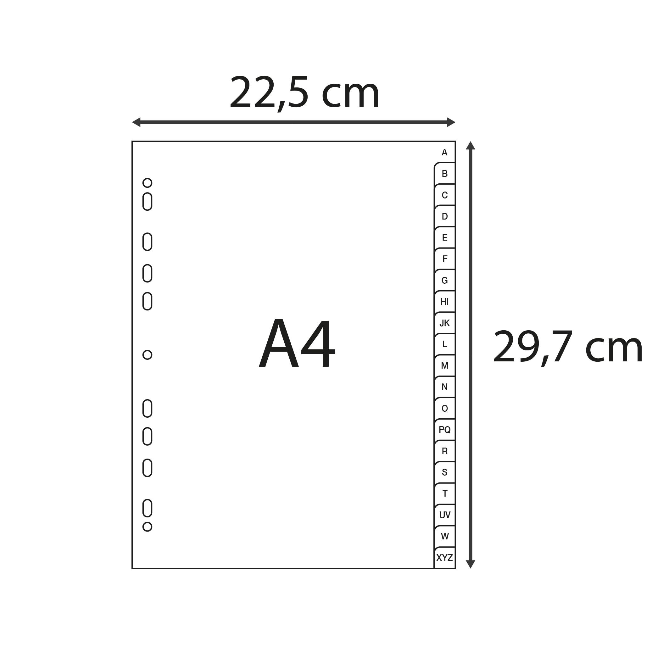 Exacompta - Réf. 1720E - Carton de 20 Intercalaires gris en polypropylène recyclé avec 20 onglets imprimés alphabétiques de A à Z - Format à classer A4 - Dim 22,5 x 29,7 cm - certifiés Ange Bleu