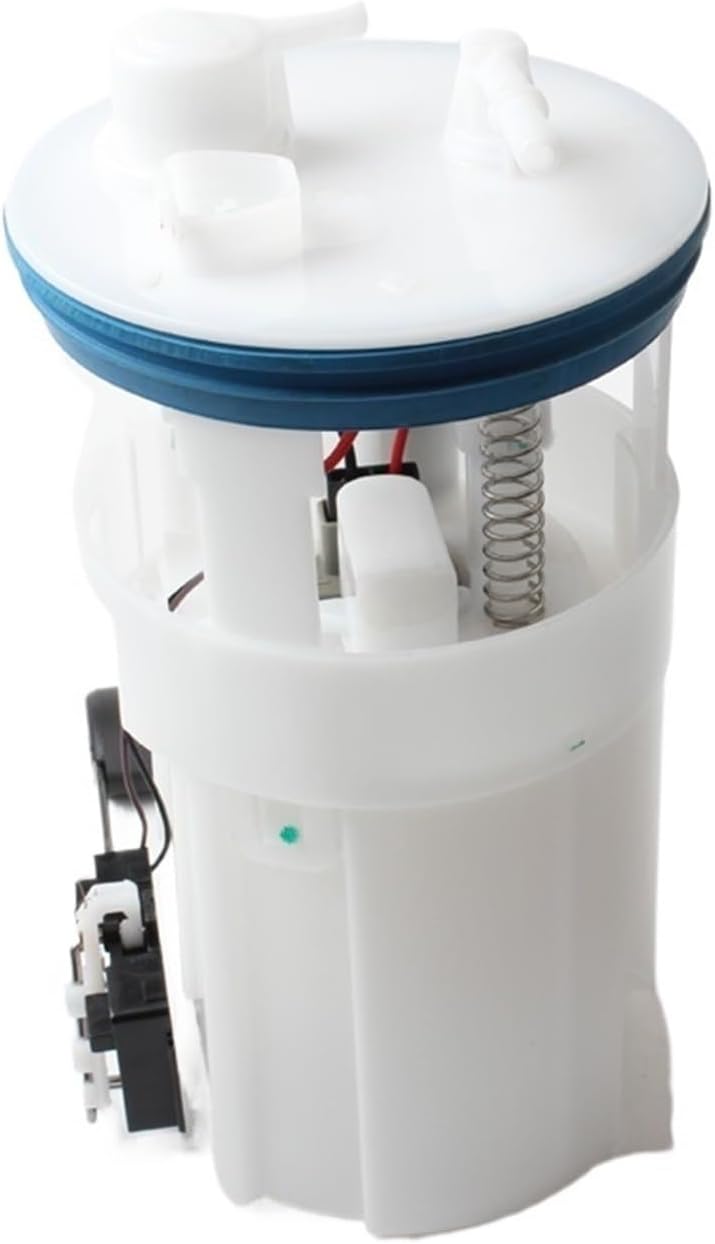 38KT DAMNGOOD‼︎ ハセガワホルモン