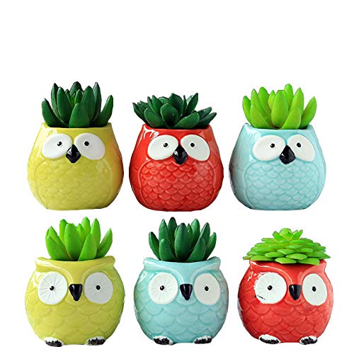 6 PCS Set Cute Animal Owl Shaped Cartoon Home Garden Decoration Succulent Cactus Flower Pot/Plant Pots/Planter/Container
