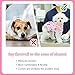 Aimydog Dog Surgery Recovery Suit, Recovery Suit for Dogs Male Neuter, Soft Spay Suit for Female Dog,Anti-Licking Breathable Onesie for Small Medium Large Dogs Cats