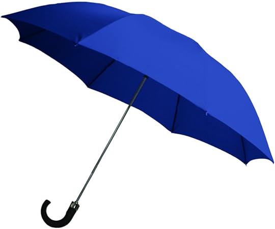 Review Rainbrella 2-Fold Auto Open Umbrella Review Rainbrella 2-Fold Auto Open Umbrella