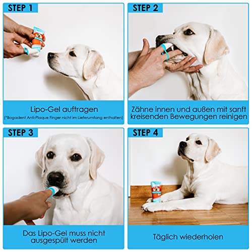 Bogadent Dental-Lipo Gel - Natürliche Hunde Zahnpflege für eine bessere Mundhygiene - Hundezahnpasta gegen Zahnstein & Mundgeruch - Zahngel Hund - 100 ml - UBO0707