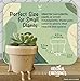Original Earthlings Sitting Small Plant Pot - 4 Inch Cute Plant Pot - Succulent & Cactus Christmas Planters, Removable Drainage Plug, Cute Decor Plant Gifts for Plant Lovers, Teacher Gifts