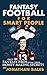 Fantasy Football for Smart People: Daily Fantasy Pros Reveal Their Money-Making Secrets
