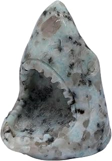 Crystal Decor Shark Head Sculpture, 2.3Inches Natural Pocket Hand Carved Crystals and Healing Stones Statue Collectibles (Kiwi Jasper)